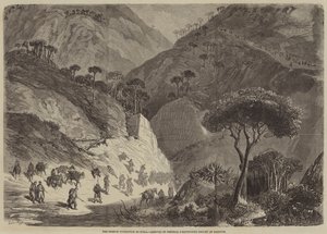 シリアへのフランス遠征、バロックのダウポール将軍列の到着 作： Gustave Dore